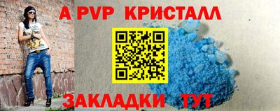 прущие грибы Вязники