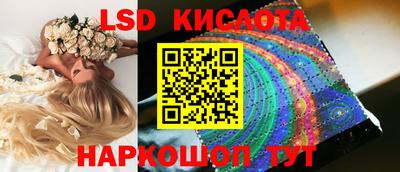 крисы Вышний Волочёк