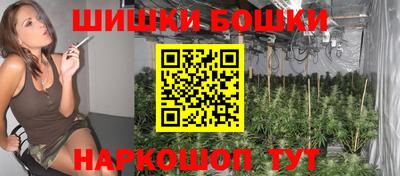 крисы Вышний Волочёк
