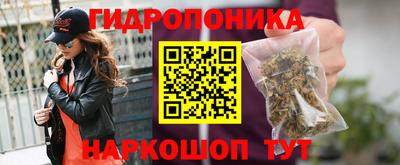 крисы Вышний Волочёк
