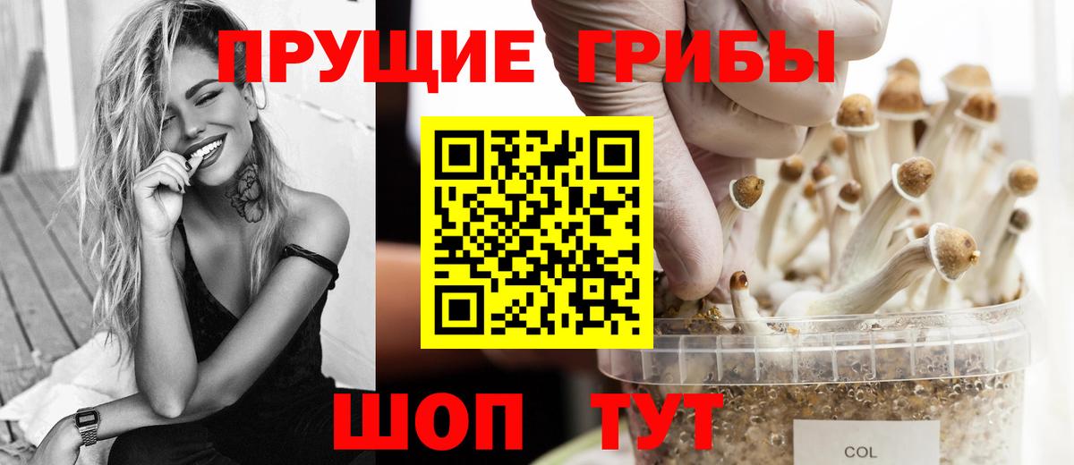 Дубна  даркнет сайт  Вход с VPN  Галлюциногенные грибы Cubensis 
