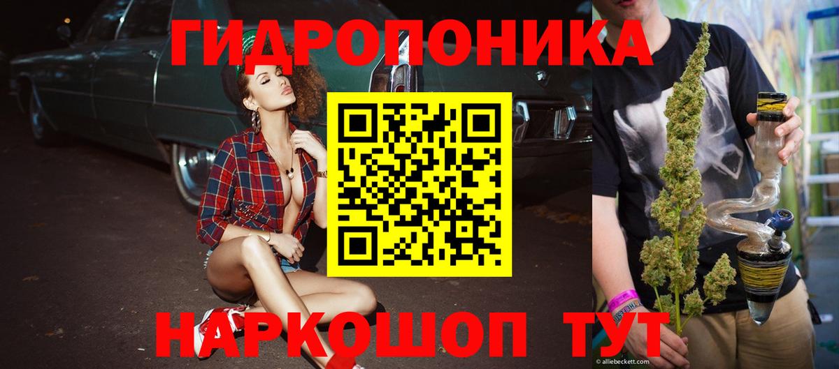 Каннабис конопля Дубна